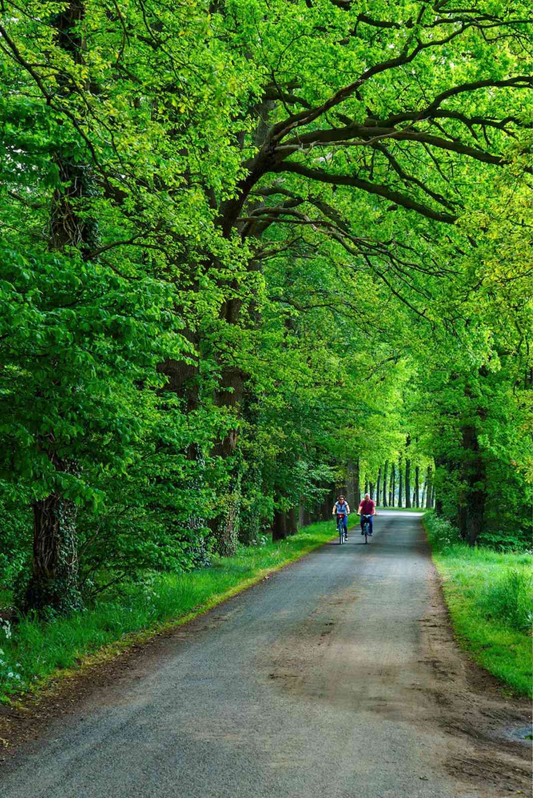 Green Path